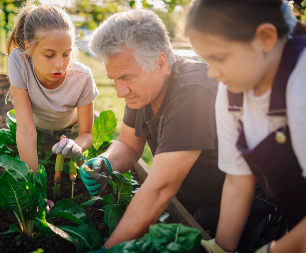 Grandfather teaching granddaughters gardening in backyard vegetable garden